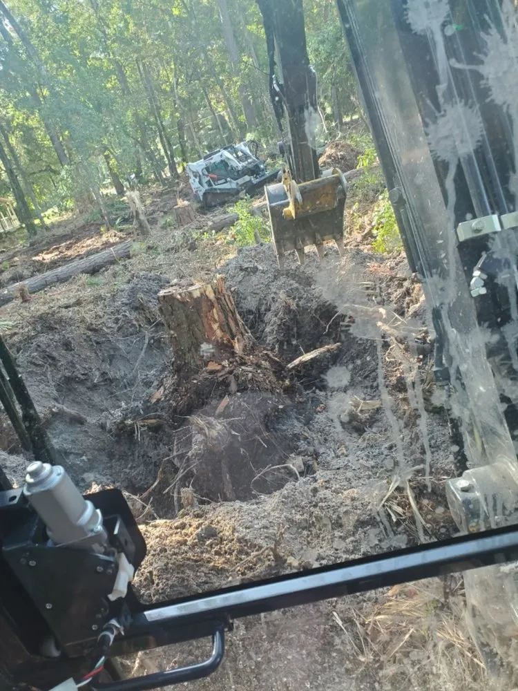 Expert lawn care service experts serving Brunswick, GA - SPM Services