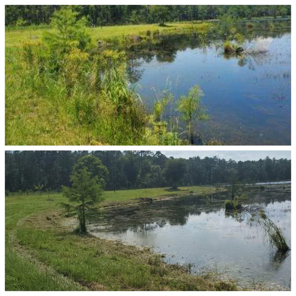 Custom lawn care service for year-round maintenance across Brunswick, GA - SPM Services