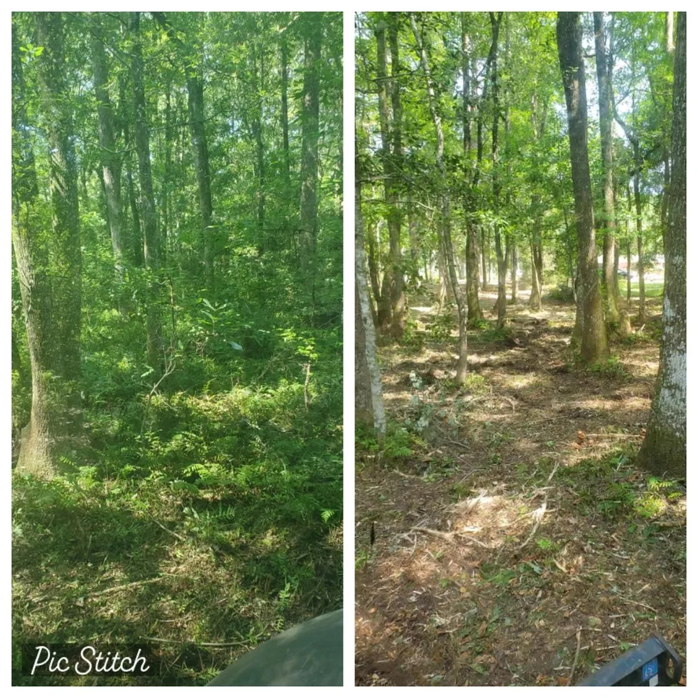 Professional lawn mowing service near you across Brunswick, GA - SPM Services