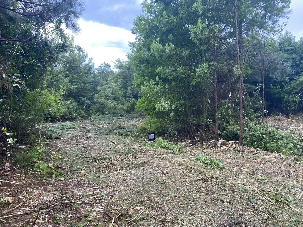 Reliable lawn care service in Brunswick, GA by SPM Services