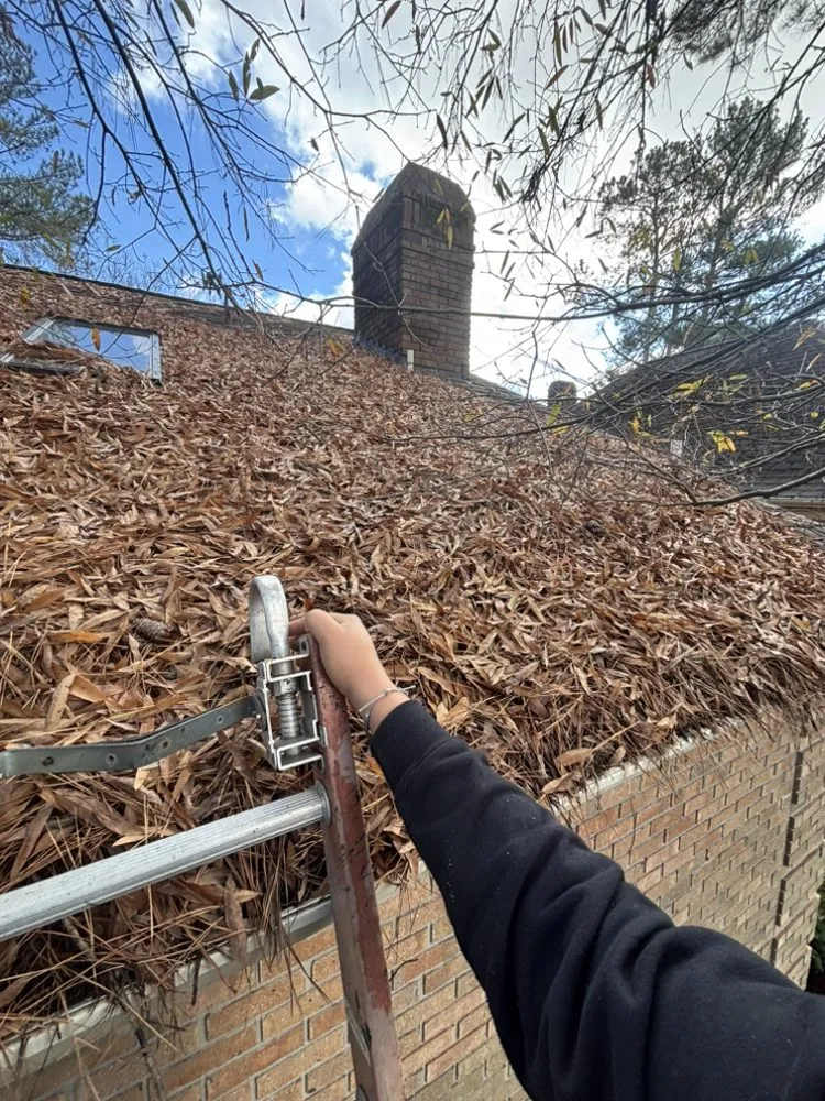 Affordable lawn care service for year-round maintenance in Clayton, NC by SPO Landscaping