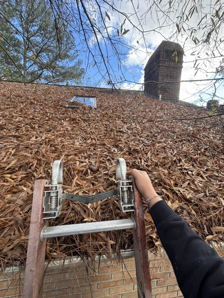 Trusted landscaping services for outdoor upgrades in Clayton, NC by SPO Landscaping