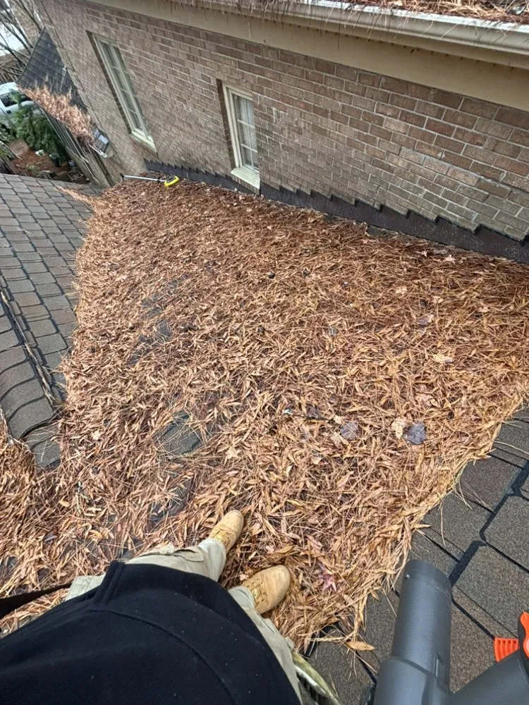 Trusted landscape installation with custom design across Clayton, NC - SPO Landscaping