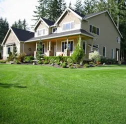 Professional yard cleanup service in Spokane, WA by Spokane Landscaping