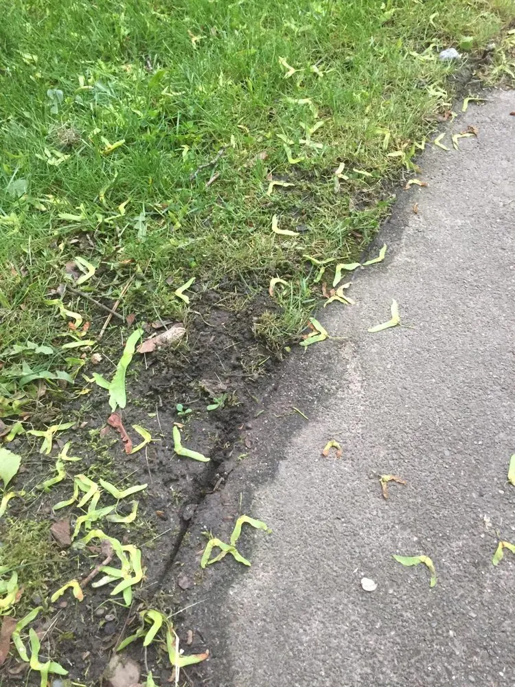 Local lawn mowing service in Spokane, WA by Spokane ProCare