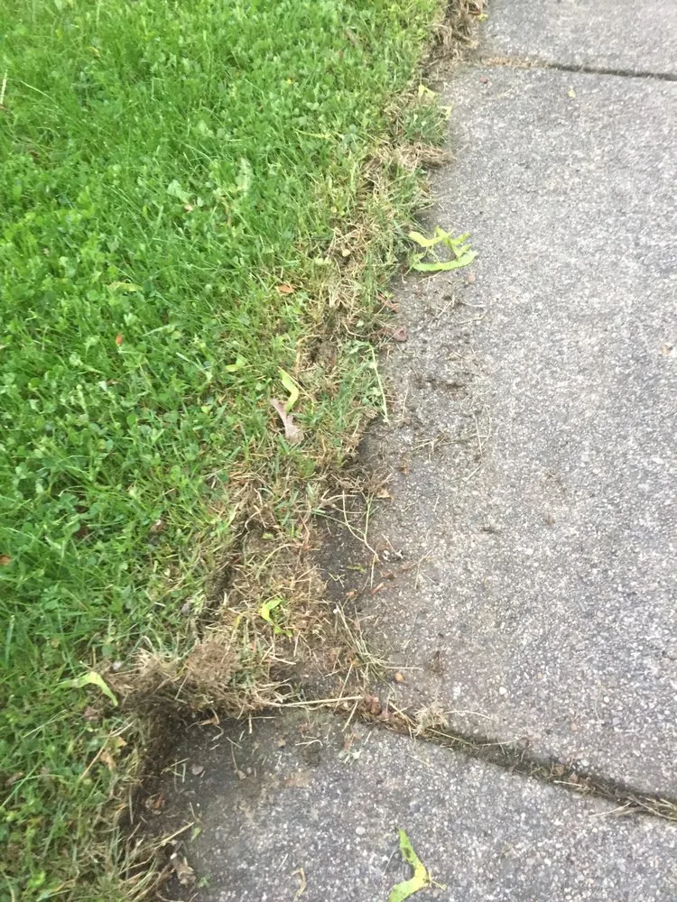 Professional yard cleanup service experts serving Spokane, WA - Spokane ProCare