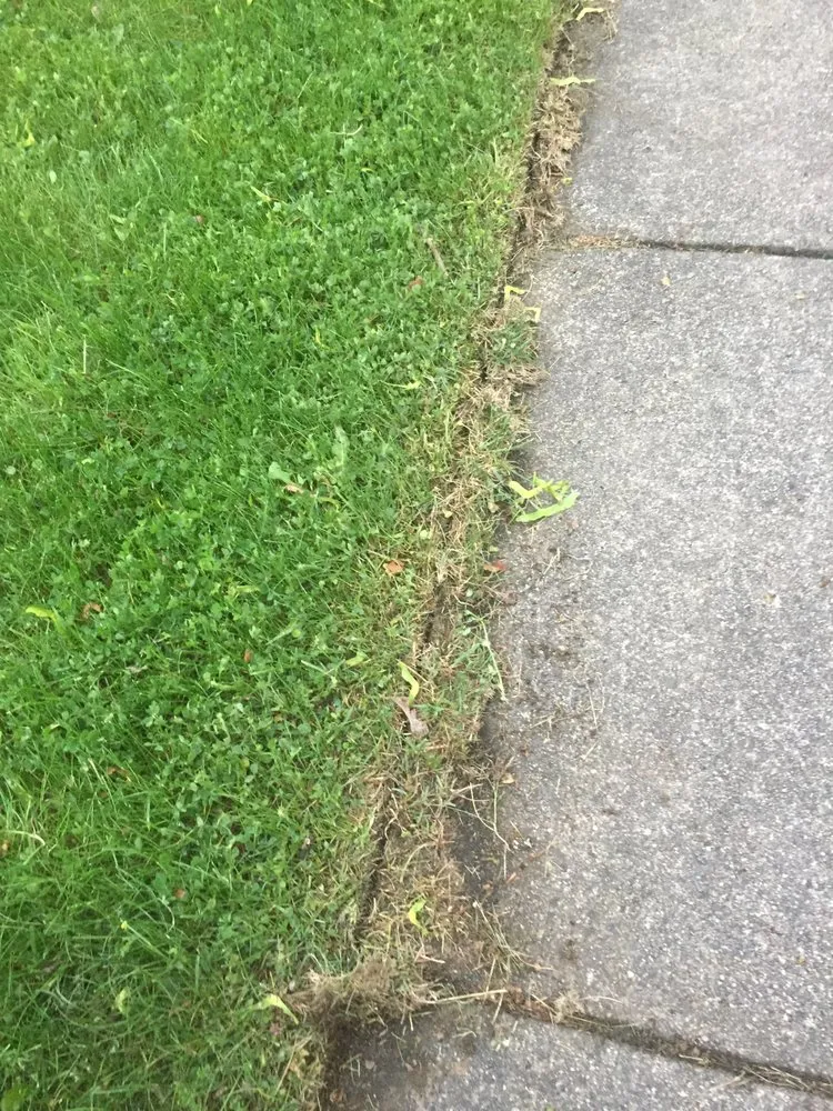 Reliable yard maintenance in Spokane, WA - Spokane ProCare