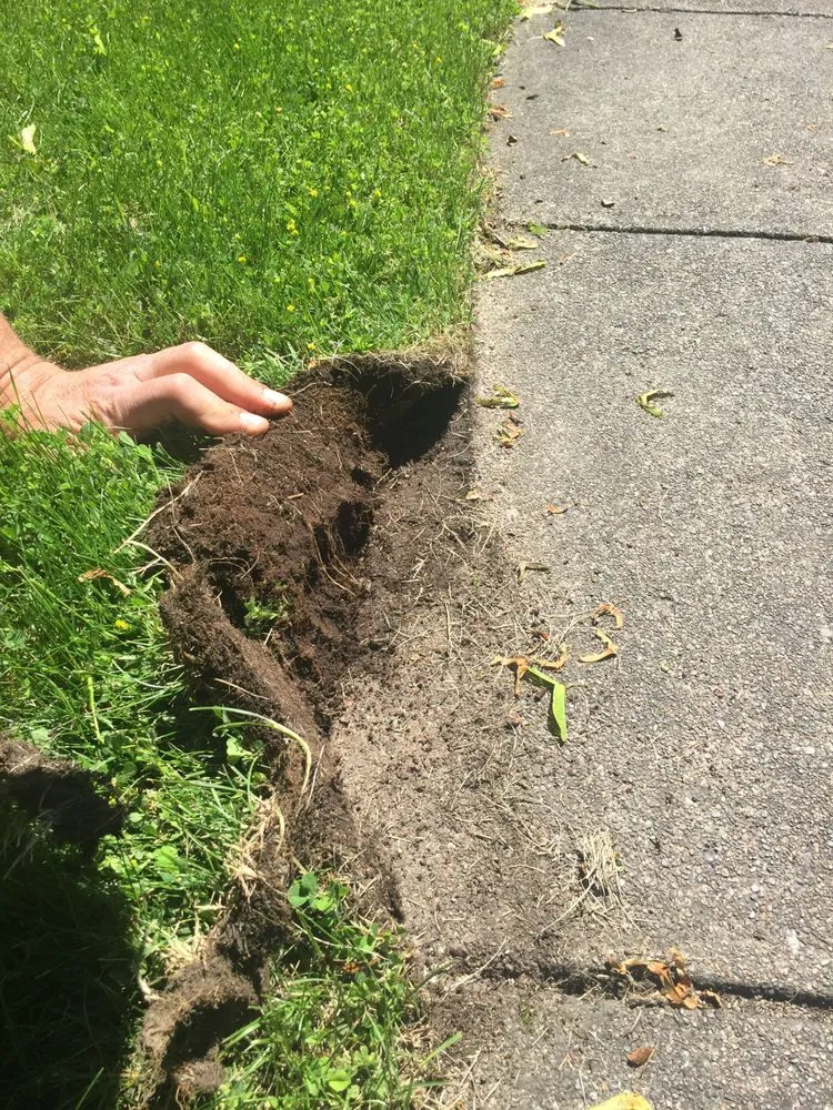 Reliable landscaping services near you across Spokane, WA - Spokane ProCare