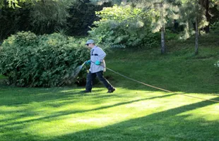 Professional garden landscaping for year-round maintenance across Spokane, WA - Spokane ProCare