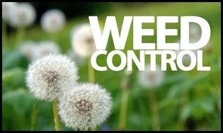 Reliable garden landscaping experts serving Spokane, WA - Spokane Spray Service