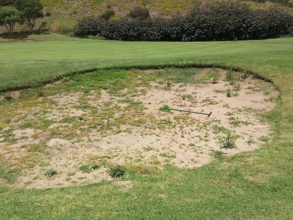 Custom landscape installation for beautiful yards in Spokane, WA by Spokane Spray Service