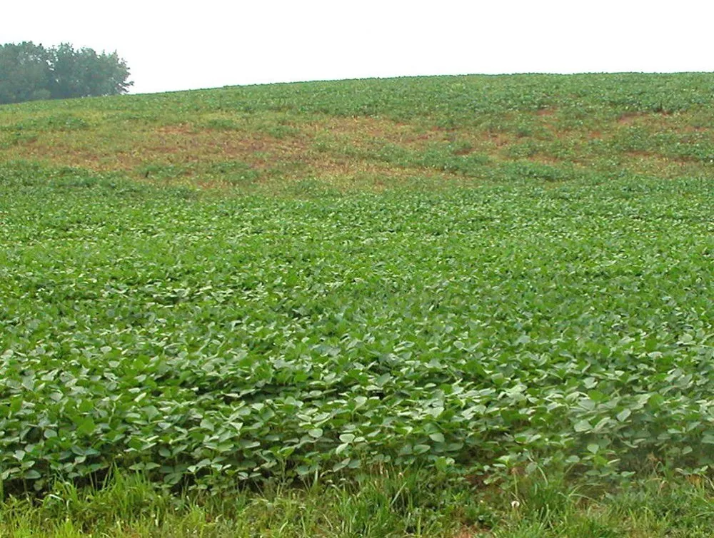 Custom outdoor landscaping in Spokane, WA - Spokane Spray Service