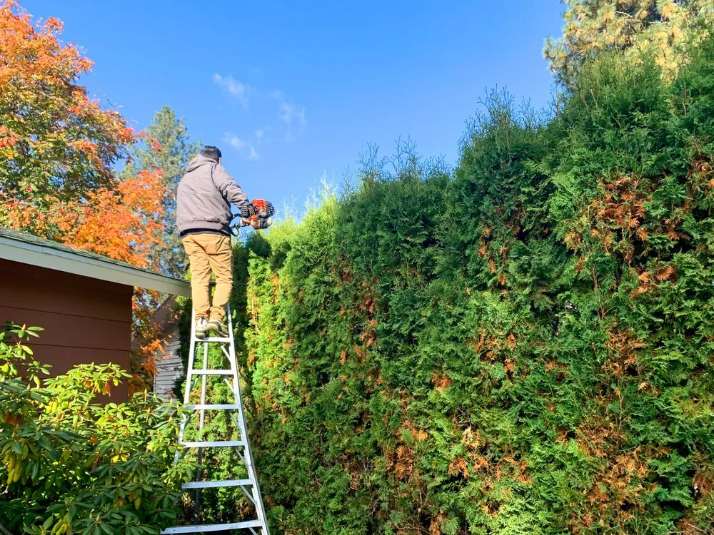 Local residential landscaping for year-round maintenance across Spokane, WA - Spokane's Finest Lawns