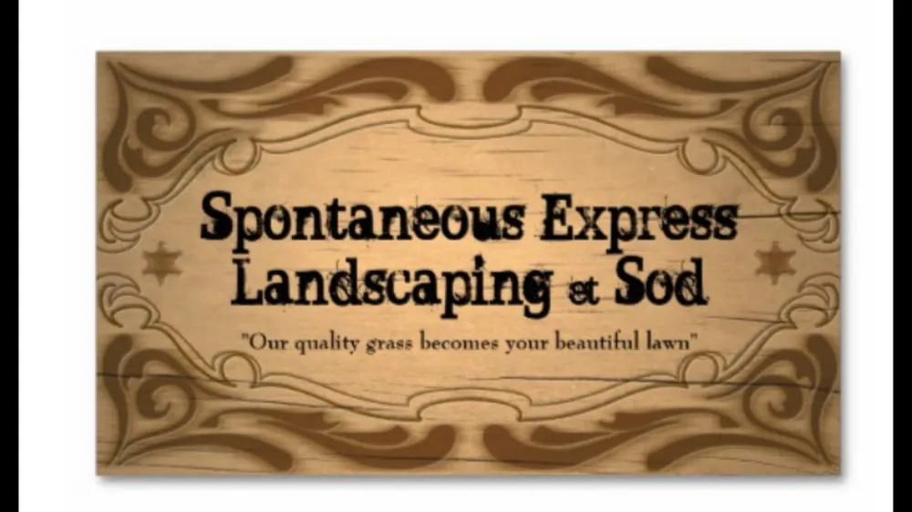 Top-rated lawn mowing service in Fort Worth, TX by Spontaneous Express Landscaping