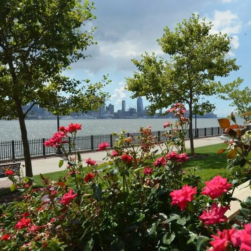 Trusted residential landscaping in Fairfield, NJ by Sponzilli Landscape Group