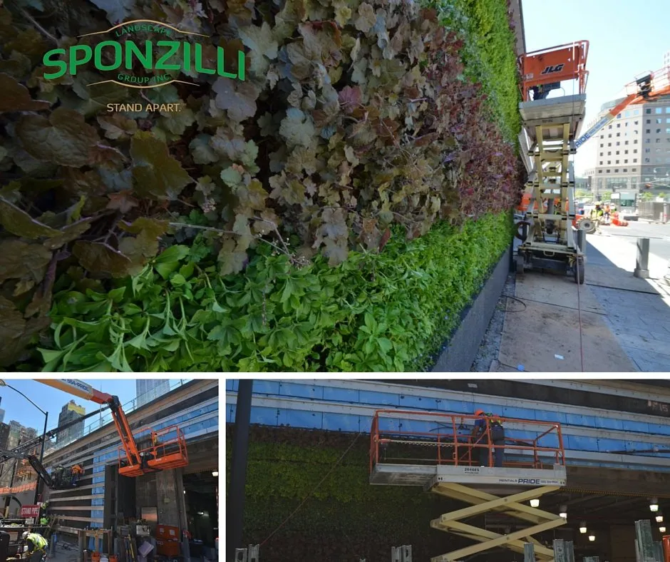 Reliable residential landscaping for homes across Fairfield, NJ - Sponzilli Landscape Group
