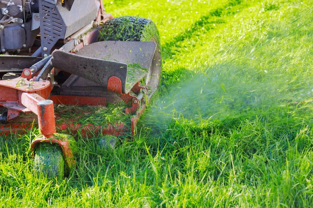 Custom yard maintenance for homes across Cottageville, SC - Spooner Landscaping