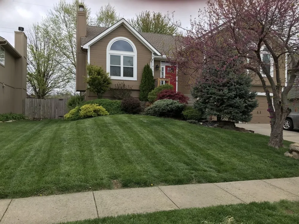 Professional yard cleanup service in Kansas City, MO by Sporting Lawn Care