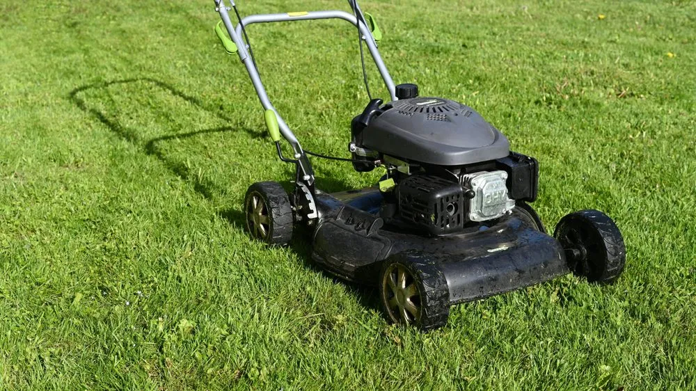 Trusted landscape design in Quinby, SC - Sports Family Lawn Care