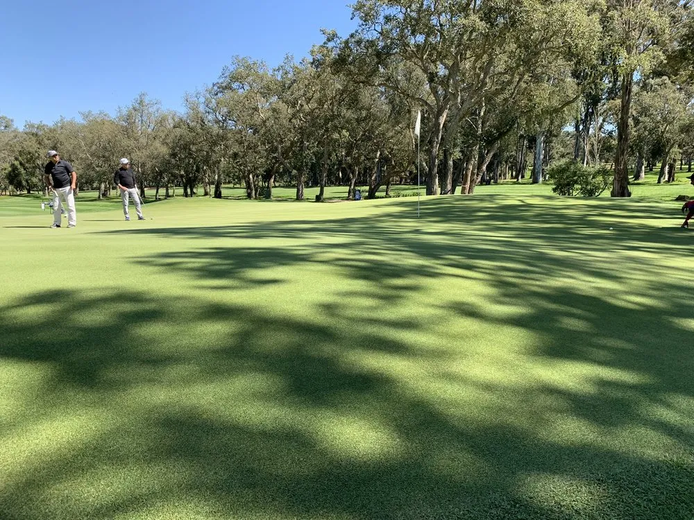 Reliable yard cleanup service in Dunwoody, GA - Sports Turf Services