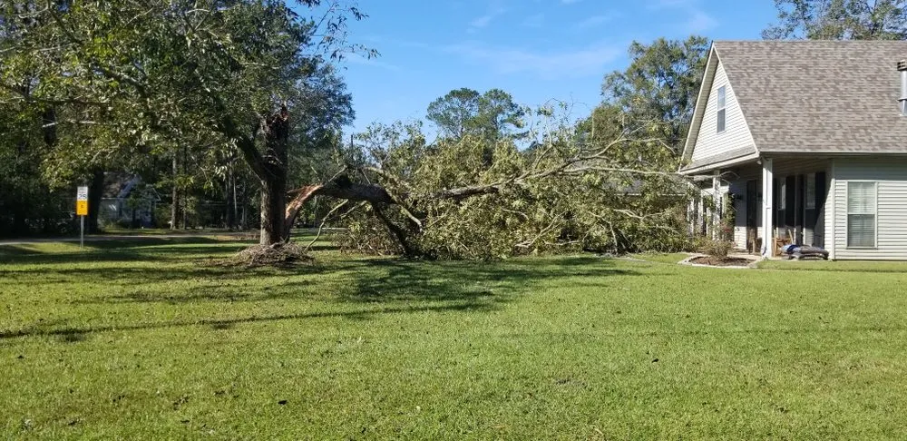 Top-rated landscaping services near you across Madisonville, LA - Sportsman’s Paradise Lawn Care