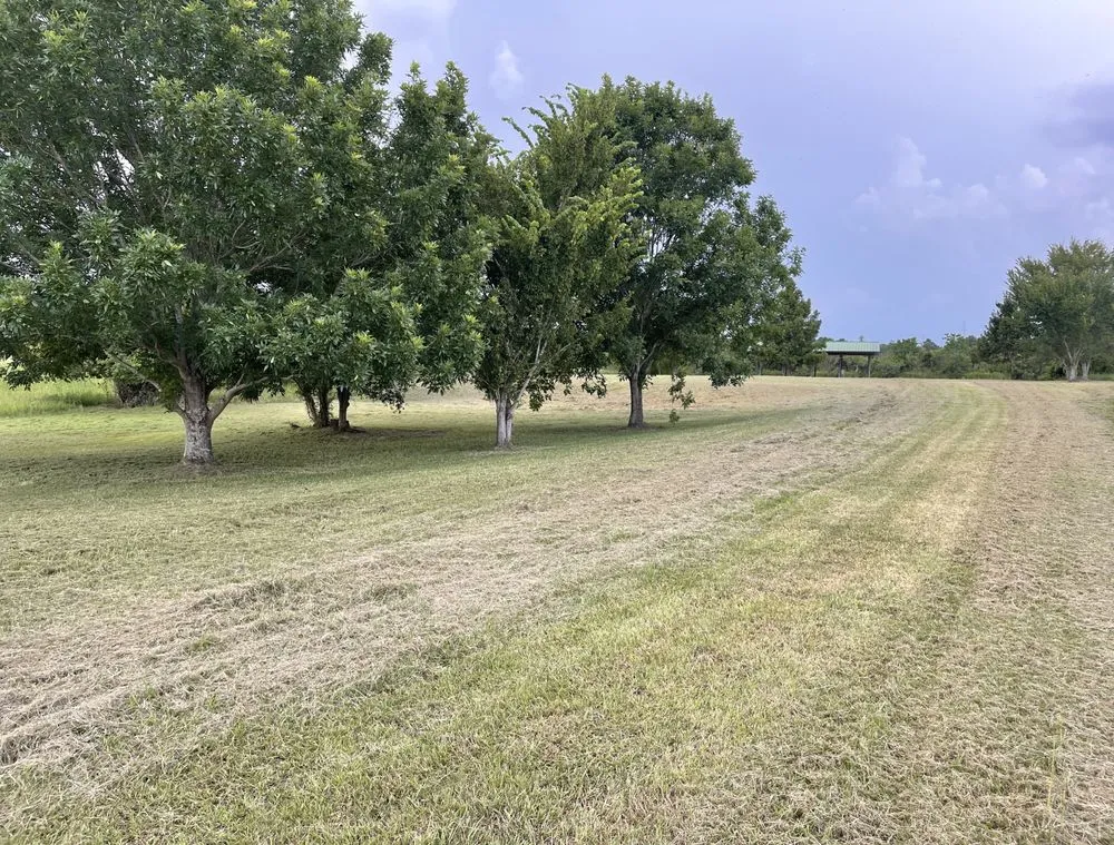 Trusted lawn care service experts serving Madisonville, LA - Sportsman’s Paradise Lawn Care