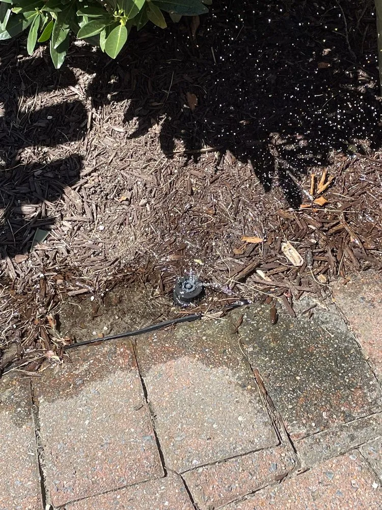 Local lawn mowing service in Milton, DE by Sposato Landscape