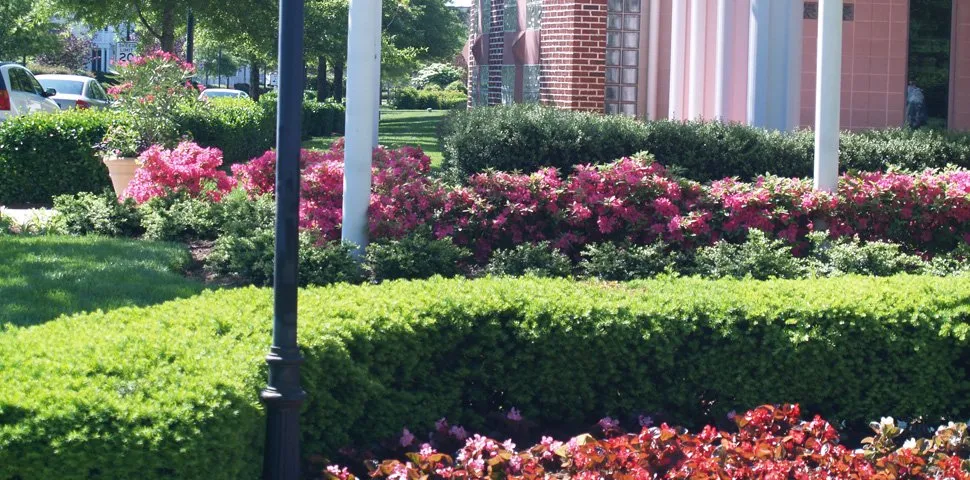 Custom yard cleanup service in Milton, DE - Sposato Landscape