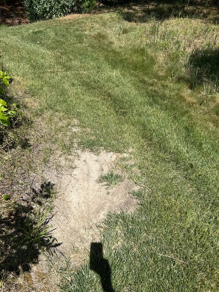 Reliable residential landscaping with custom design across Milton, DE - Sposato Landscape