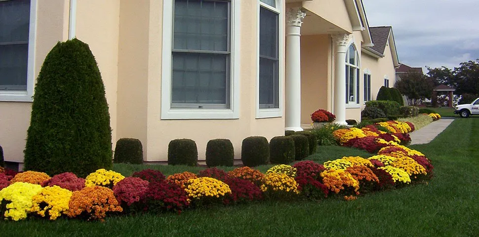 Local lawn care service in Milton, DE by Sposato Landscape