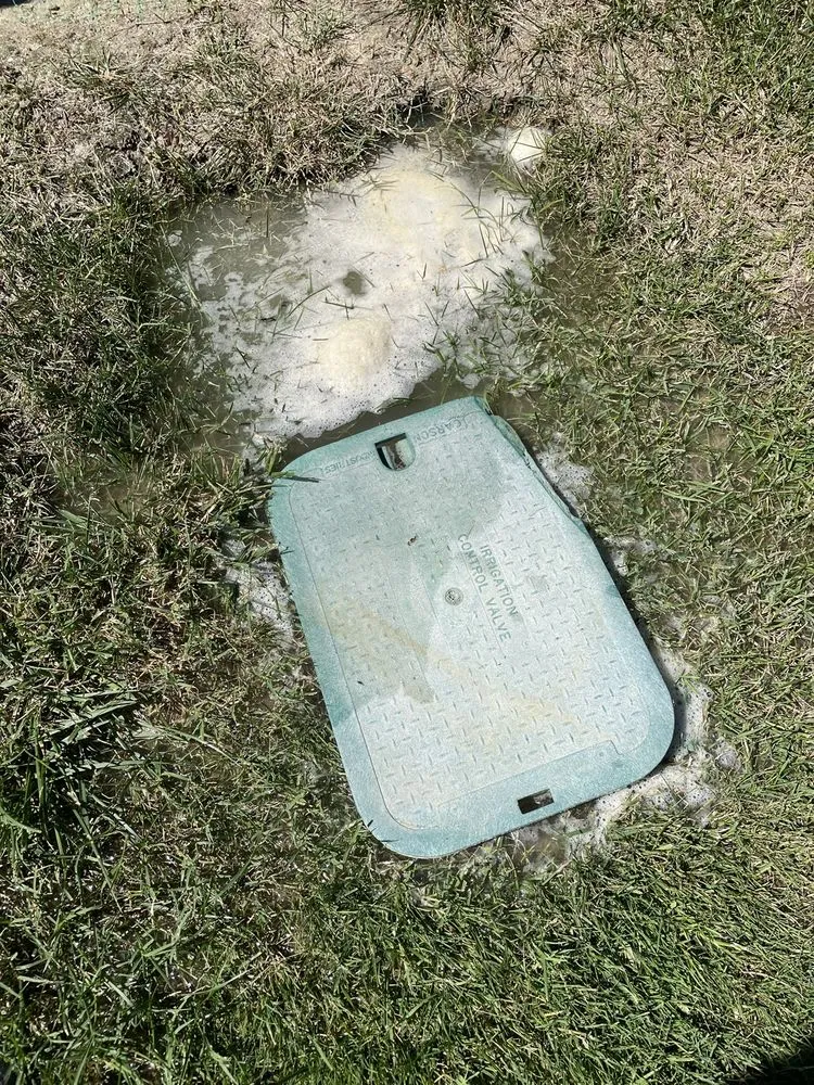 Expert garden landscaping for outdoor upgrades in Milton, DE by Sposato Landscape