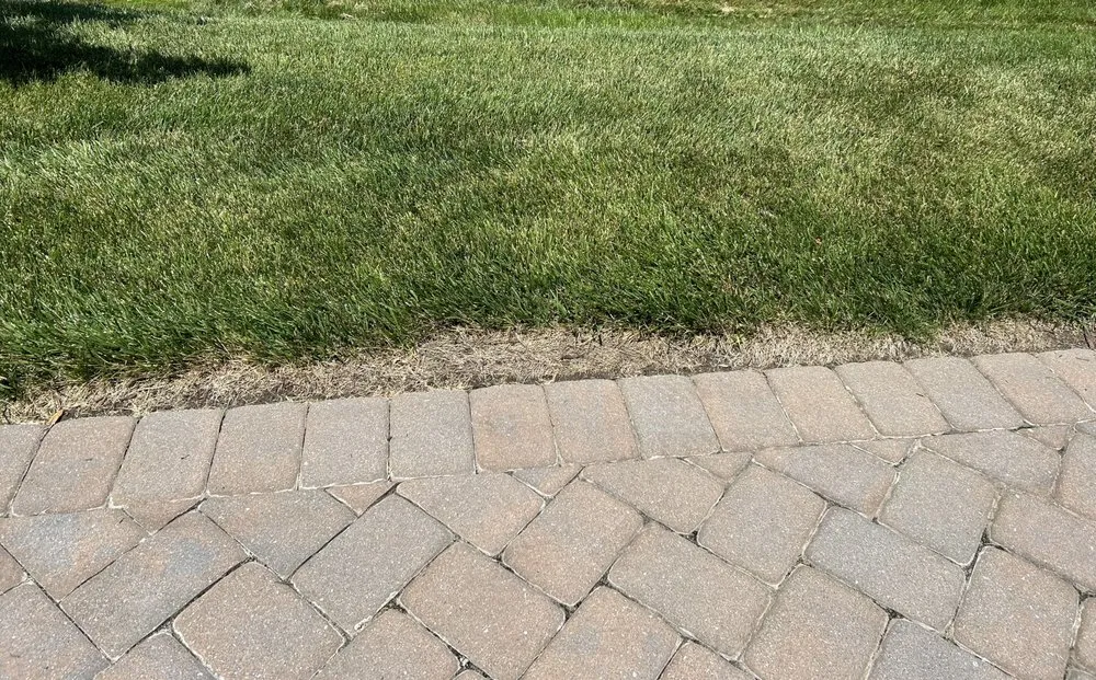 Trusted yard cleanup service for year-round maintenance across Milton, DE - Sposato Landscape