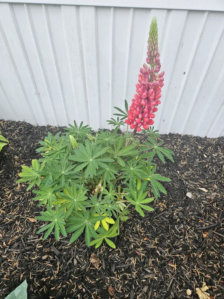 Top-rated garden landscaping experts serving Milton, DE - Sposato Landscape