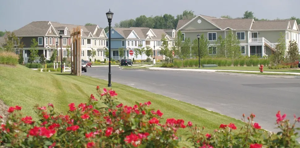 Reliable yard cleanup service in Milton, DE - Sposato Landscape