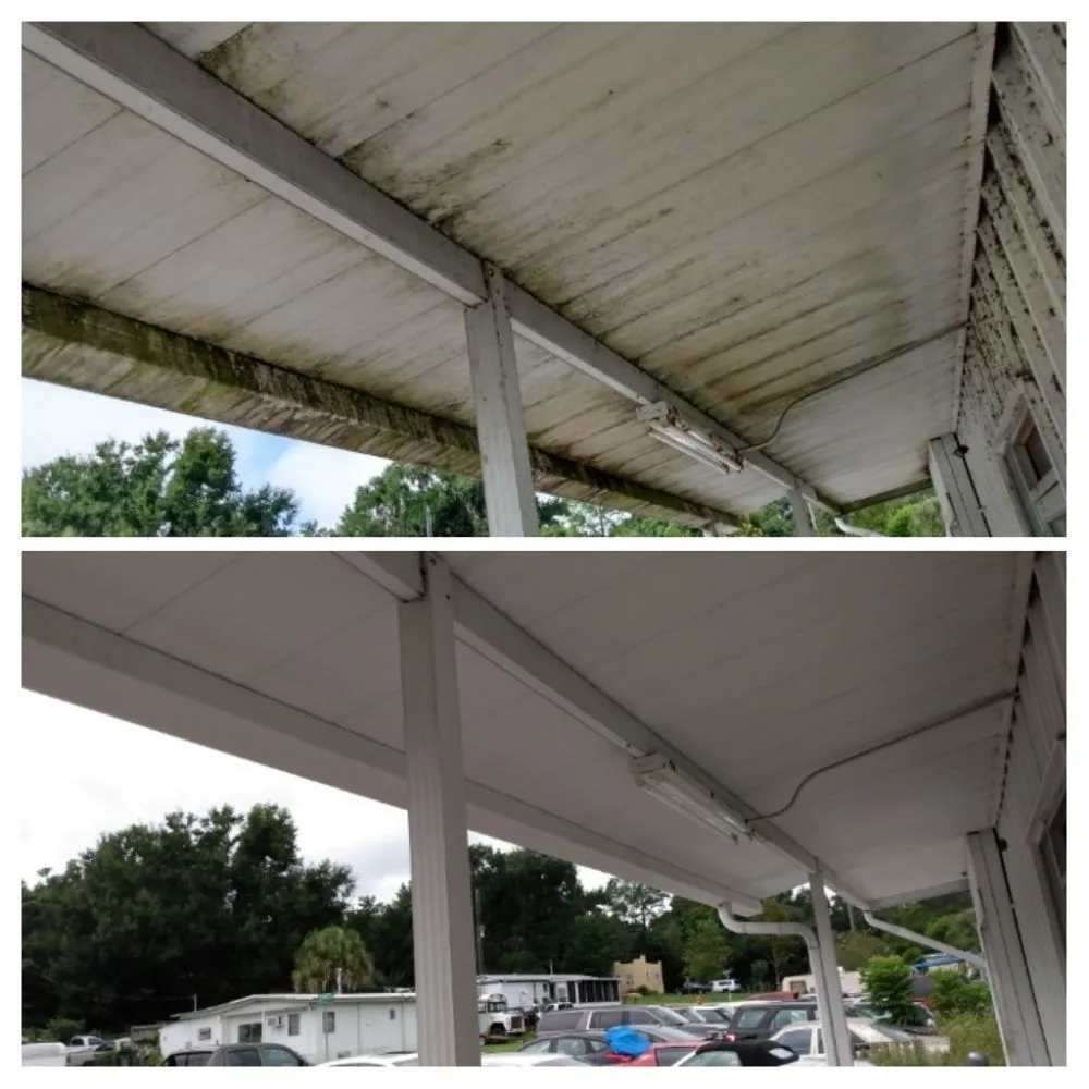 Local landscaping services for residential properties in Lake Placid, FL by Spot Free Exteriors