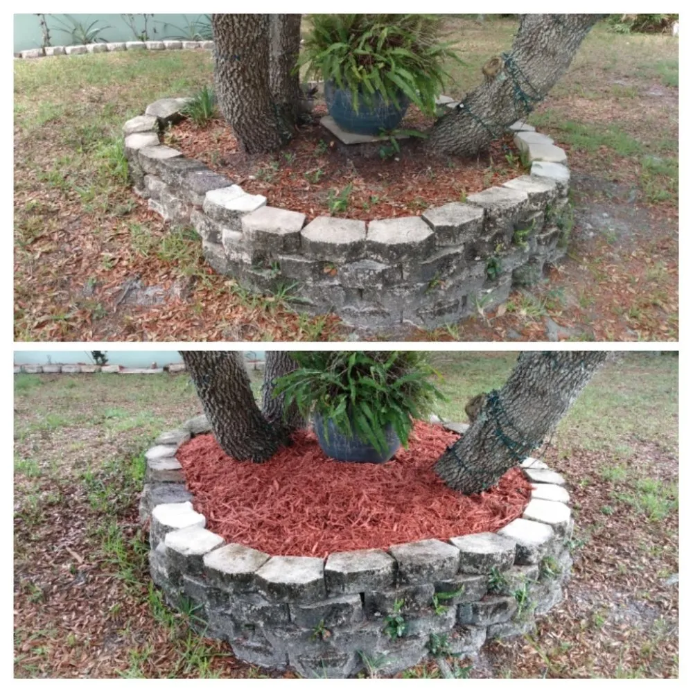 Professional outdoor landscaping experts serving Lake Placid, FL - Spot Free Exteriors