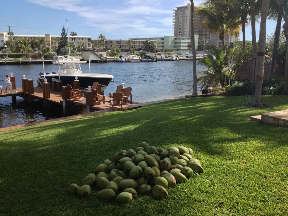 Custom outdoor landscaping experts serving Deerfield Beach, FL - Spot Pond Tree Service