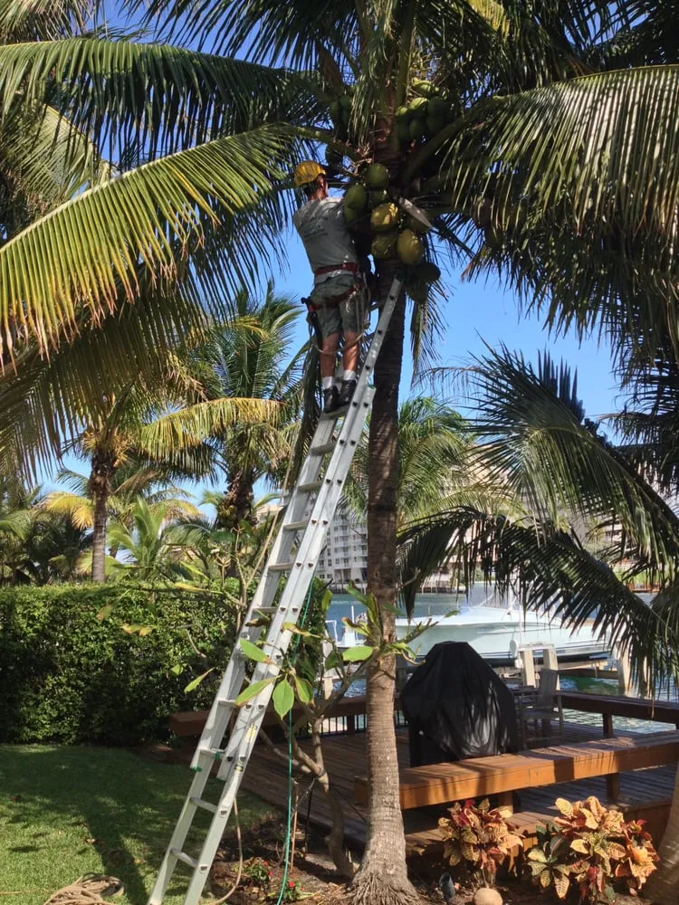 Affordable landscape design for outdoor upgrades across Deerfield Beach, FL - Spot Pond Tree Service