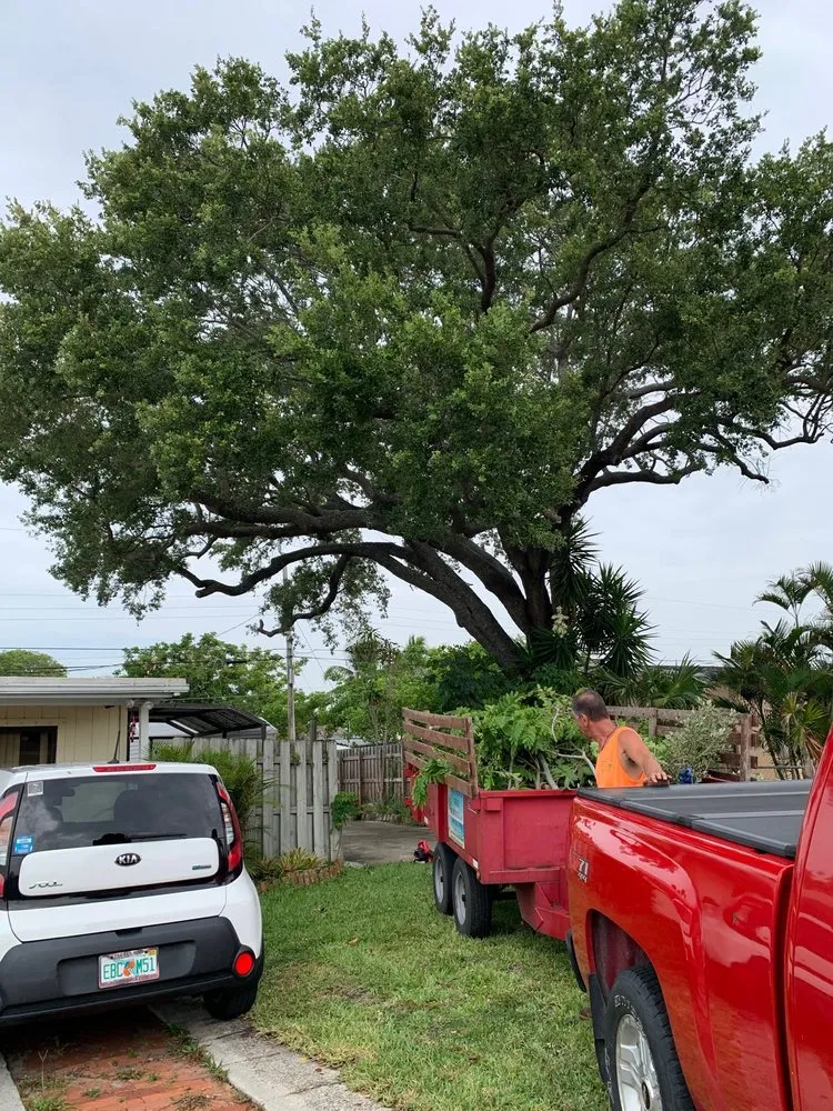 Affordable lawn mowing service in Deerfield Beach, FL - Spot Pond Tree Service