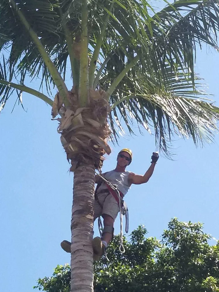 Trusted garden landscaping in Deerfield Beach, FL by Spot Pond Tree Service