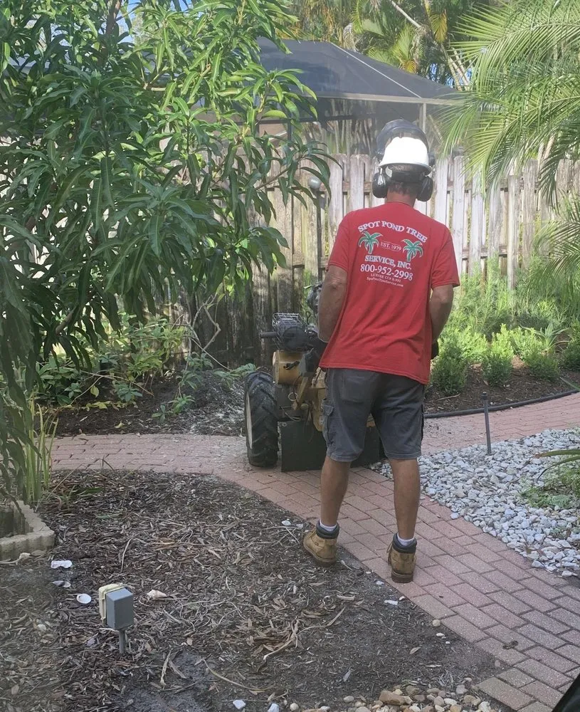 Reliable yard cleanup service in Deerfield Beach, FL - Spot Pond Tree Service