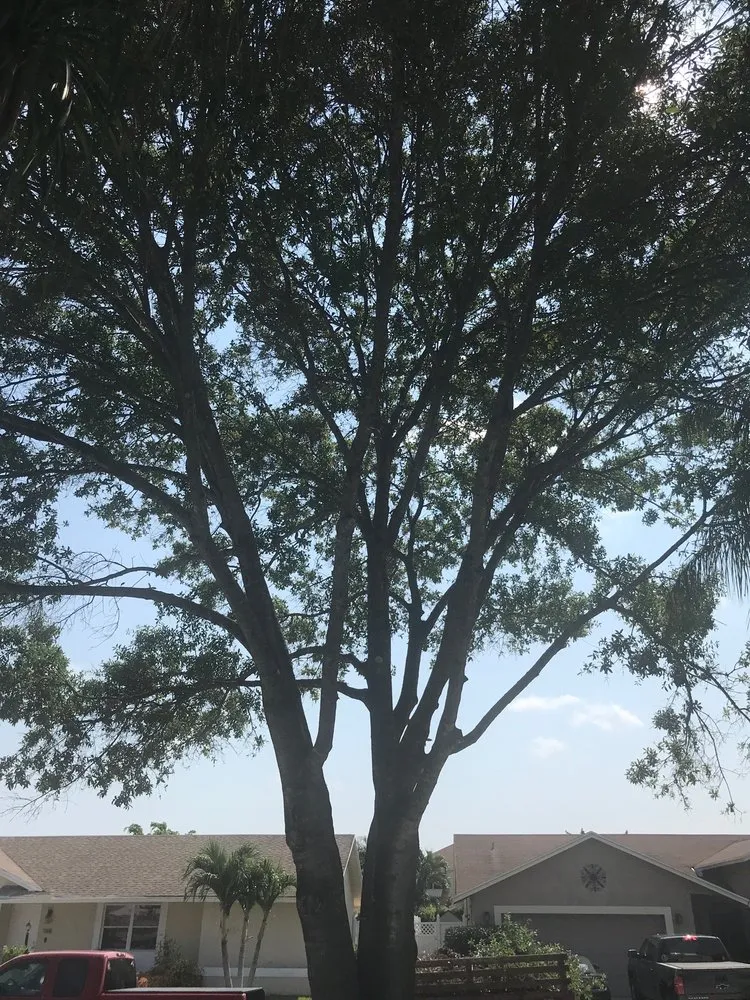 Affordable lawn mowing service for year-round maintenance across Deerfield Beach, FL - Spot Pond Tree Service