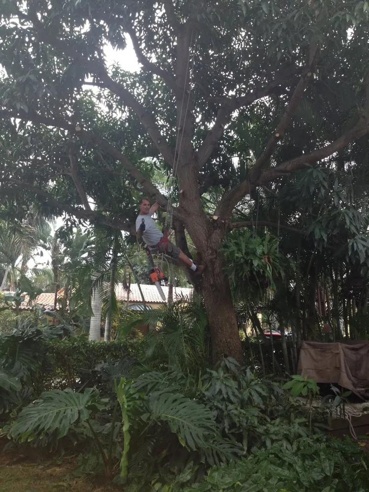 Reliable lawn care service experts serving Deerfield Beach, FL - Spot Pond Tree Service