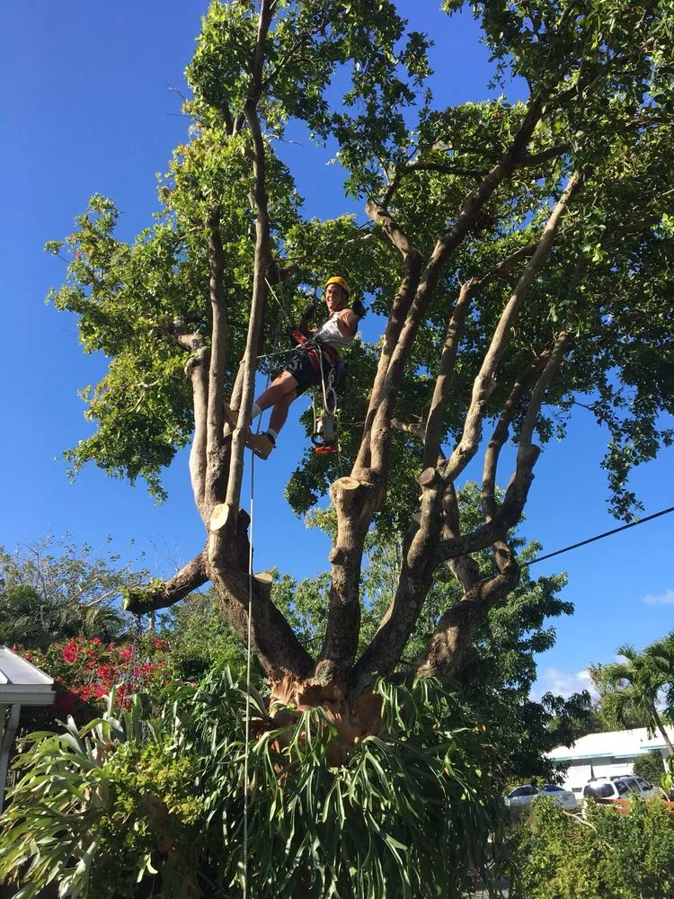 Professional lawn care service for residential properties in Deerfield Beach, FL by Spot Pond Tree Service