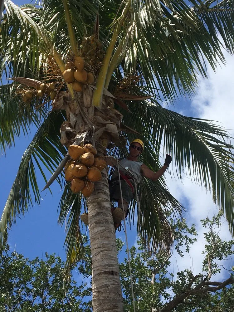 Trusted outdoor landscaping in Deerfield Beach, FL by Spot Pond Tree Service