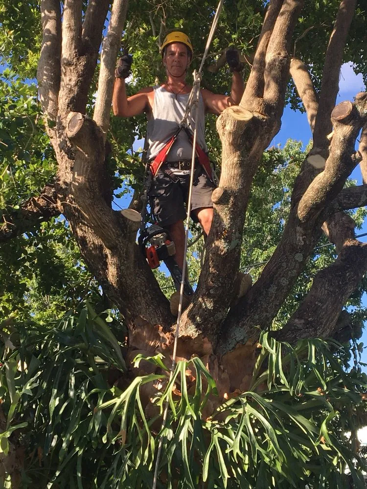 Local landscape design for homes across Deerfield Beach, FL - Spot Pond Tree Service