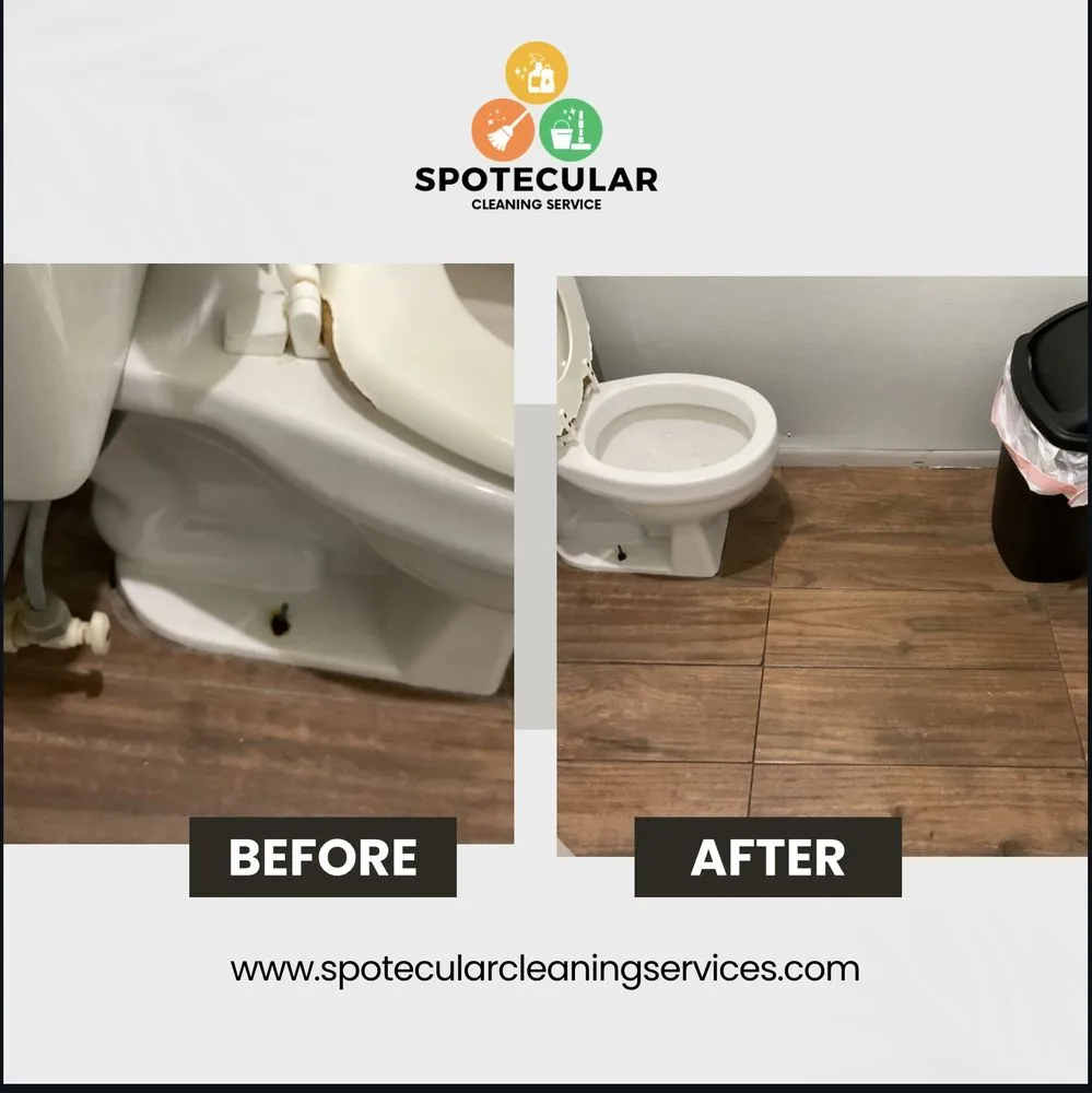 Local landscape installation experts serving St. Marys, GA - Spotecular Cleaning Services