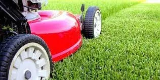 Top-rated lawn mowing service experts serving Grover, NC - Spotless Cleaning and Lawn Services