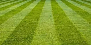Top-rated yard cleanup service in Grover, NC by Spotless Cleaning and Lawn Services