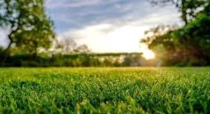 Local residential landscaping in Grover, NC by Spotless Cleaning and Lawn Services